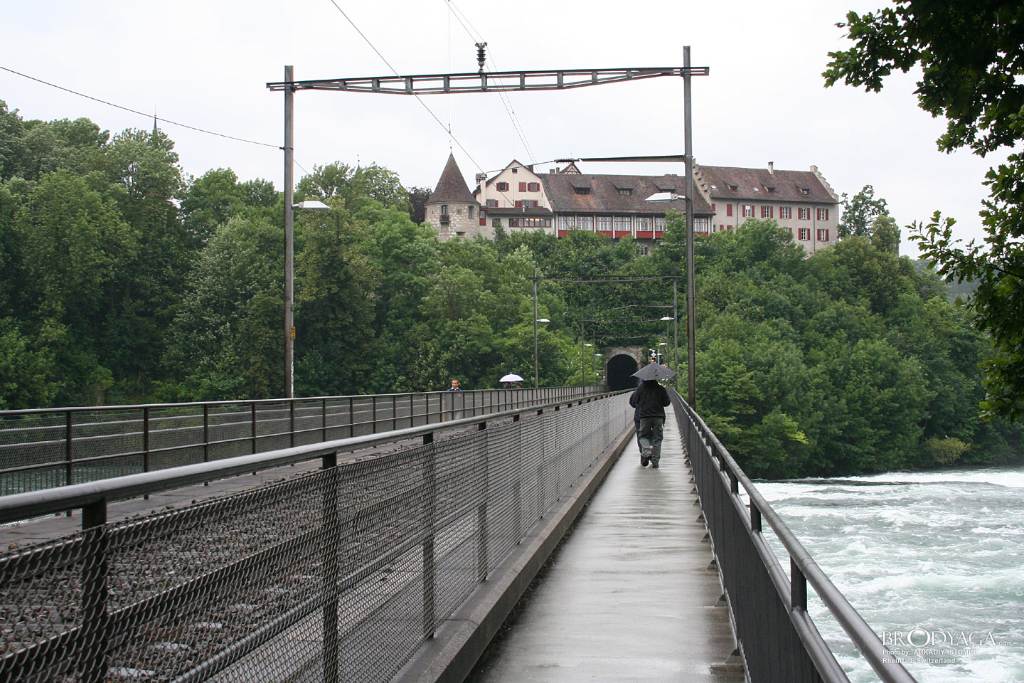 Rheinfall